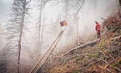 Ein Forstgerät zum Holztransport per Seil wie dieses stahl der Dieb.