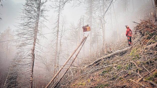 Ein Forstgerät zum Holztransport per Seil wie dieses stahl der Dieb.