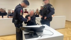 Der Ungar streitet vor Gericht in Wien eine Mordabsicht ab – aber auch jede Erinnerung.