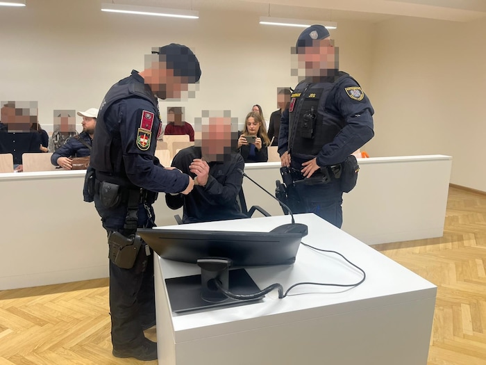 Der Ungar streitet vor Gericht in Wien eine Mordabsicht ab – aber auch jede Erinnerung.