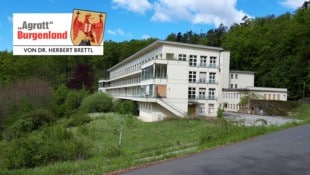 In der Lungenheilanstalt Hirschenstein, nördlich von Rechnitz, wurden bis 1986 Lungenkranke ...