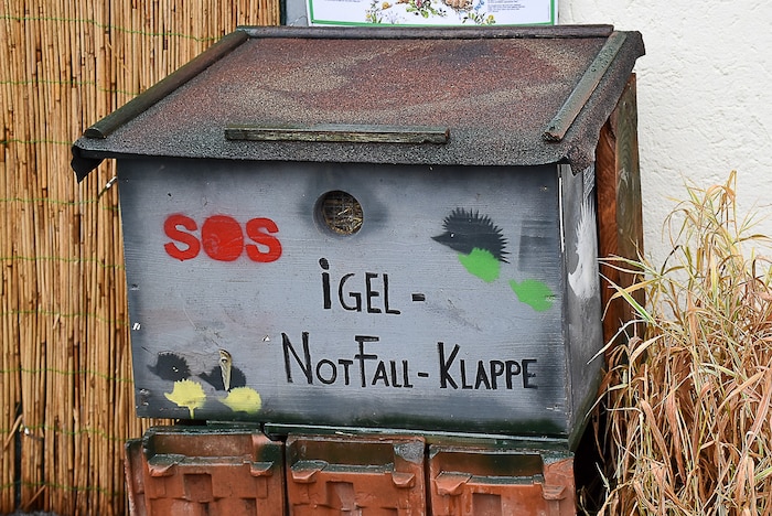 Für Notfälle: Die Igel-Klappe in Lochau.
