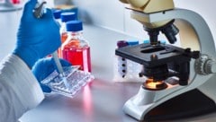 Mit der Methode der Genschere CRISPR eröffnen sich neue Horizonte bei der Krebsbekämpfung.