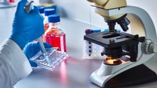 Mit der Methode der Genschere CRISPR eröffnen sich neue Horizonte bei der Krebsbekämpfung.