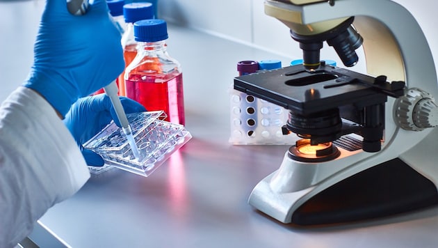 Mit der Methode der Genschere CRISPR eröffnen sich neue Horizonte bei der Krebsbekämpfung.
