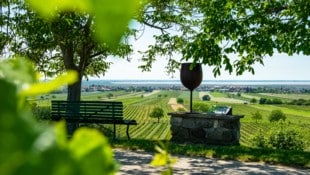 Sanfte Hänge mit Weingärten und der Blick bis zum Neusiedler See. Das ist Jois. 