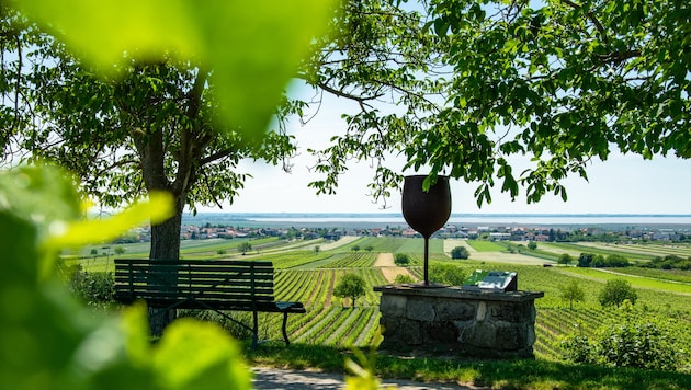 Sanfte Hänge mit Weingärten und der Blick bis zum Neusiedler See. Das ist Jois.