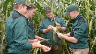 Mais-Profis unter sich: Lehrer Stefan Graggaber, Maximilian Perner, Christian Seifter und ...