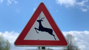 „Vor allem im Bereich von Wildwechsel-Warnschildern sollten Lenker unbedingt vorausschauend, ...