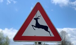 Der Unfall in Nettingsdorf soll durch ein Reh ausgelöst worden sein.