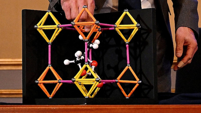 Bei der Verkündung des Preises wurde auch ein Modell dieses neuartigen Gerüsts präsentiert.