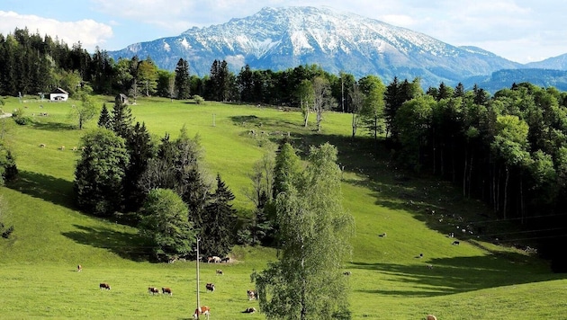 Intake Natur und ein dynamischer Wirtschaftsraum – das ist die Region Eisenstraße im ...