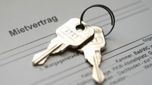 Mietverträge: Privat ist es am teuersten. 