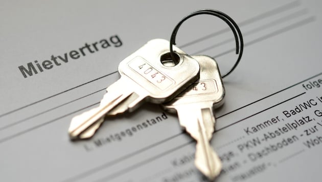 Mietverträge: Privat ist es am teuersten.