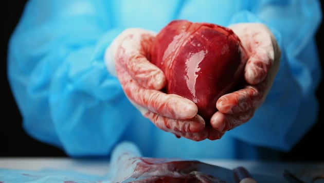 Ein gesundes Herz wird im Darknet mit bis zu 140.000 Dollar gehandelt.
