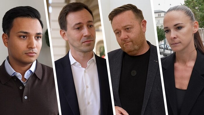 Yannik Shetty (NEOS), Nico Marchetti (ÖVP), Mario Lindner (SoHo), Lisa Schuch-Gubik (FPÖ)
