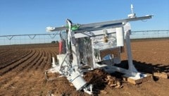 „Aufregender Tag am Hof heute“, schrieb die texanische Augenzeugin zu den Bildern des ...