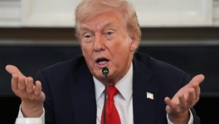 Israel und die islamistische Hamas haben sich nach Angaben von US-Präsident Donald Trump auf die ...