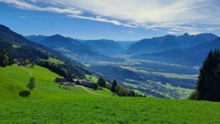 Satte Magerwiesen prägen das Landschaftsbild hoch über dem Walgau.