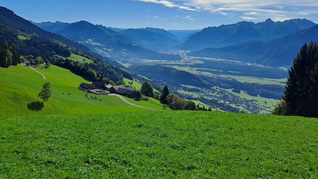 Satte Magerwiesen prägen das Landschaftsbild hoch über dem Walgau.