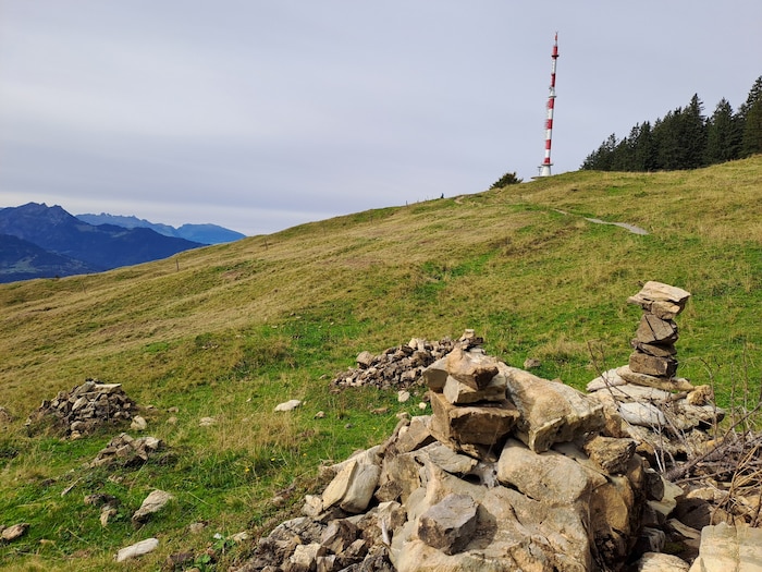 Auf dem Gebiet des Älpeles steht der 90 Meter hohe Sendeturm.