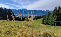 Deregulierung auf Kosten des Naturschutzes?