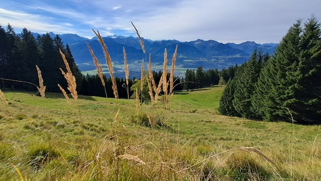 Deregulierung auf Kosten des Naturschutzes?