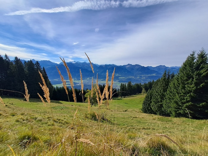 Unterwegs gibt es Vieles zu entdecken.