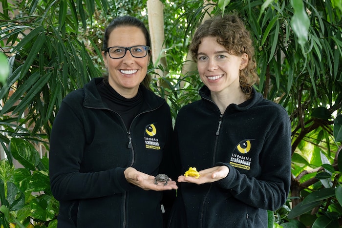 Dr. Doris Preininger (links) und Susanne Stückler, PhD (rechts)