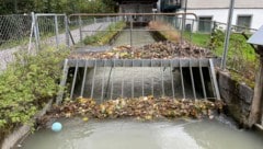 Die Rechen entlang des Müllerbachs werde immer wieder durch Abfälle verstopft.