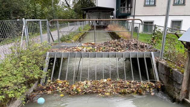 Die Rechen entlang des Müllerbachs werde immer wieder durch Abfälle verstopft.