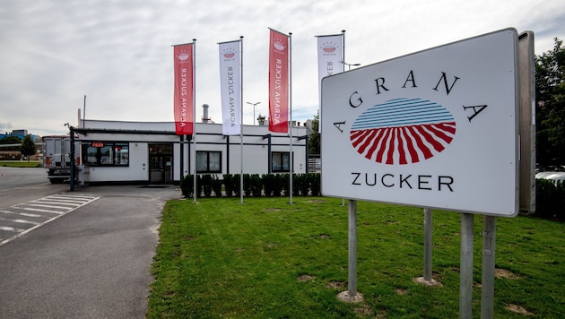Preis-und Margendruck sowie sinkende Absatzmengen ließen das EBIT im Stärke-Geschäftsbereich von ...