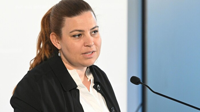 Nina Tomaselli, Finanzsprecherin der Grünen, forderte einmal mehr höhere Strafen für ...