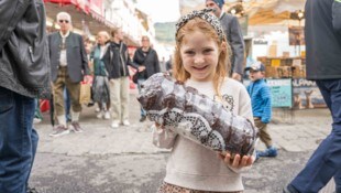Beim Kirtag in Leoben ist für jeden etwas dabei. 
