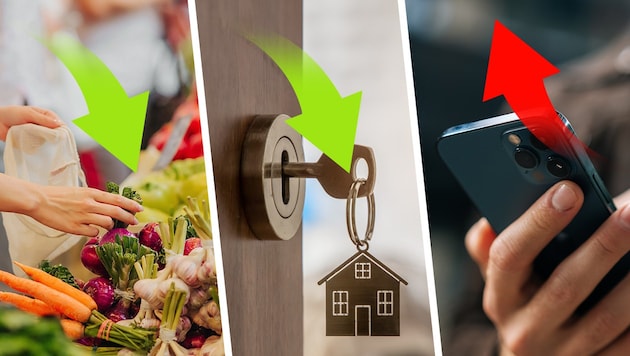 Ein neues Konzept könnte den Einkauf im Supermarkt und Wohnen verbilligen. Andere Produkte wie ...