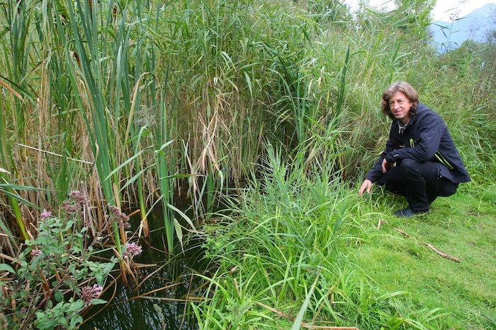 Tirols Landesumweltanwalt Johannes Kostenzer.