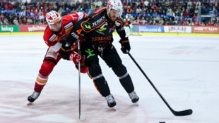 99ers-Kapitän Korbinian Holzer (re.) ist für das Match gegen Budapest fraglich.