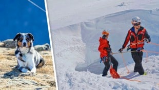 Während „Davinci“ beim Einsatz nur zuschaute, versuchte Falkner (rechts), die beiden von der ...