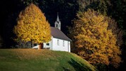 Gut besucht sind die Kirchen in Vorarlberg schon lange nicht mehr. Was aus ihnen wohl in Zukunft ...