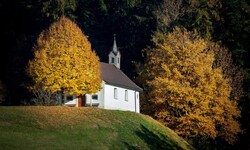 Gut besucht sind die Kirchen in Vorarlberg schon lange nicht mehr. Was aus ihnen wohl in Zukunft ...