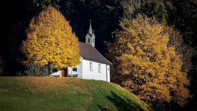 Gut besucht sind die Kirchen in Vorarlberg schon lange nicht mehr. Was aus ihnen wohl in Zukunft ...