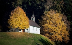 Gut besucht sind die Kirchen in Vorarlberg schon lange nicht mehr. Was aus ihnen wohl in Zukunft ...