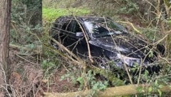 Abruptes Ende der Flucht im Wald.