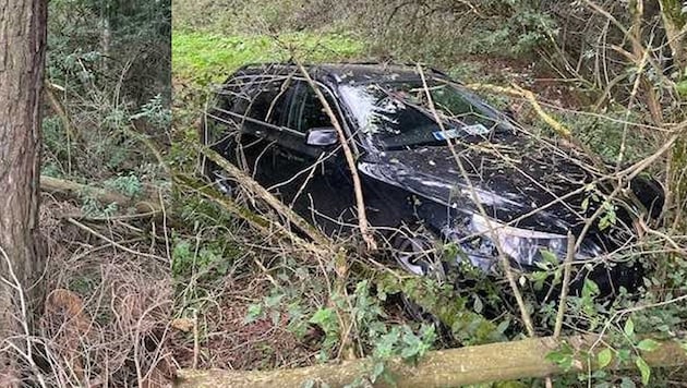 Abruptes Ende der Flucht im Wald.
