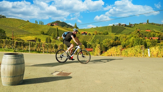 Der Herbst ist die perfekte Zeit für Radtouren entlang der südsteirischen Weinstraße.