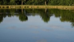 Einen privaten Fischteich nutzten Unbekannte, sie wurden verscheucht (Symbolbild).
