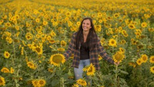 Das letzte Überbleibsel vom Sommer: Jetzt im Oktober blühen auch die Sonnenblumenfelder ab.