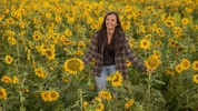 Das letzte Überbleibsel vom Sommer: Jetzt im Oktober blühen auch die Sonnenblumenfelder ab.