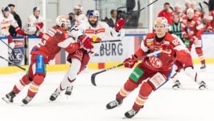 Peter Schneider (M.) und die Eisbullen empfangen Freitag Ferencvaros.