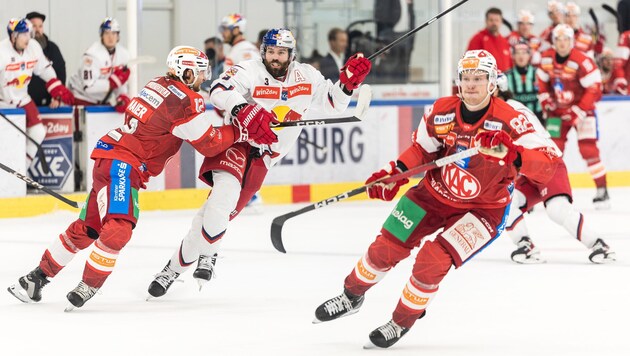 Peter Schneider (M.) und die Eisbullen empfangen Freitag Ferencvaros.